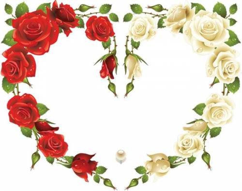 Рамка-сердечко из красных и белых роз