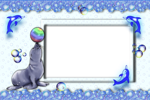 Морской котик с мячиком и дельфины