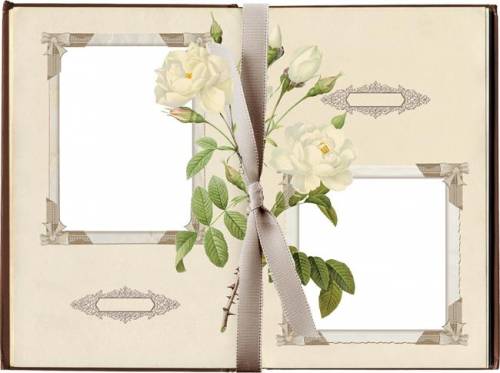 Рамка с белыми розами на две фотографии