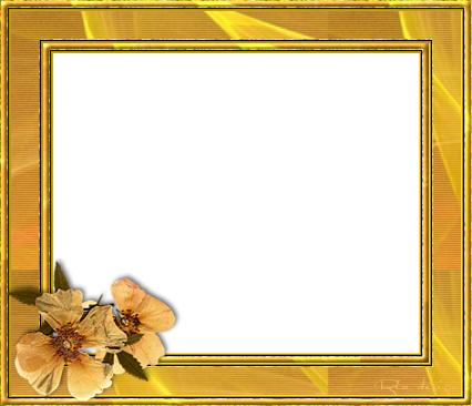 Золотая рамочка с цветами в уголке