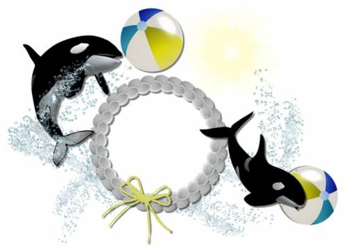 Дельфины с разноцветными мячами