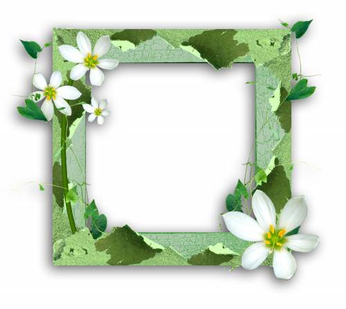 Рамка квадратная широкая, зеленая с белыми цветами