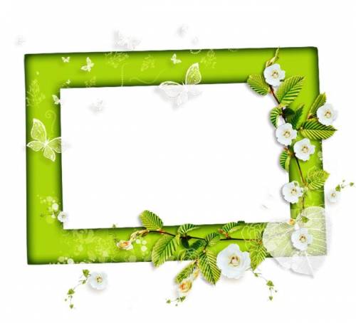 Зеленая рамка с бабочками и цветцщей веткой