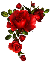Уголок с красными розами