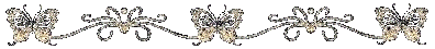 Разделитель из серебнисто -золотых бабочек