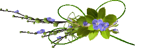 Разделитель-голубые цветы в зелени