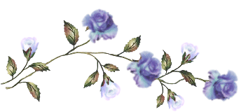 Ветвь голубой розы лоя украшения текста. Разделитель