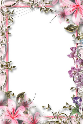 Свадебная рамка для поздравлений с розовыми лилиями