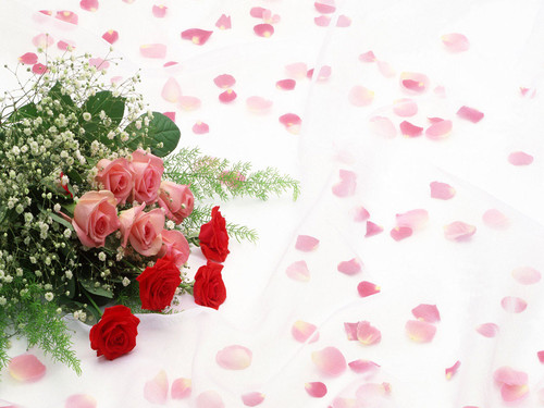 Свадебная рамка для поздравлений с розами и лепестками