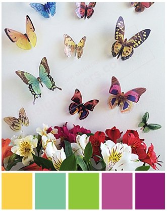 Гармония цвета. Бабочки
