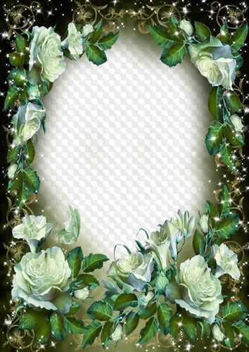 Рамочка с прозрачным фоном для текста с белыми розами