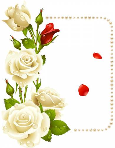 Рамка с белыми розами с одной сторлоны