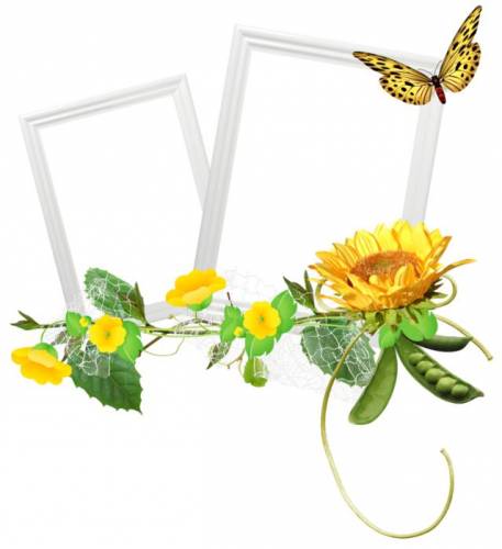 Две рамка с бабочкой и желтыми цветами