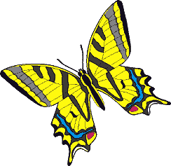Бабочка желтая. Украшение текста презентации