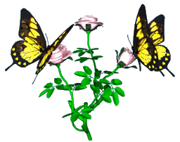 Бабочки на цветах Украшение поздравления