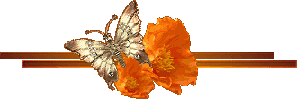 Бабочка на оранжевых цветах. Украшение текста презентации
