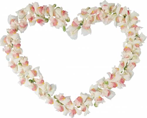 Рамка-сердечко из бело-розовых цветов