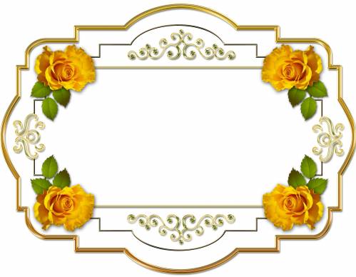Белая рамка с золотом и розами