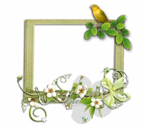 Зеленая рамка с цветущей веткой и птицей