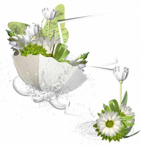Рамка с цветами и белым зонтиком