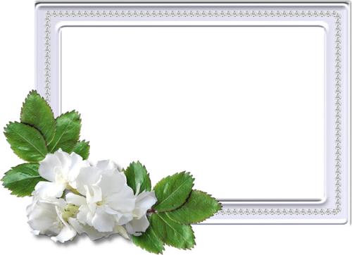 Белая рамка с белыми цветами