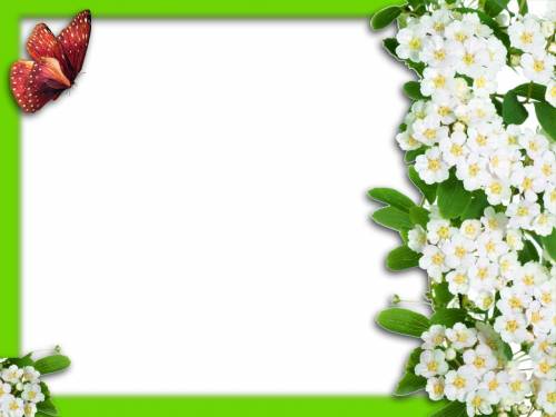 Зеленая рамка с цветущим боярышником и бабочкой