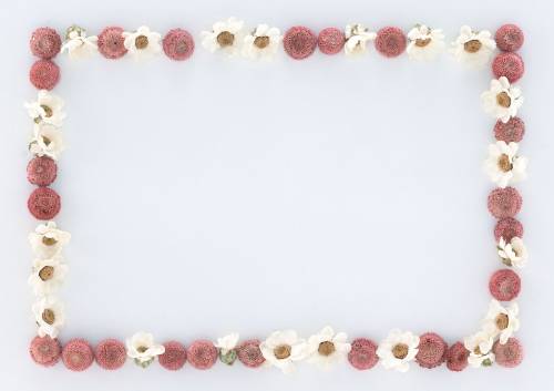 Рамочка из нежных розовых и белых цветов