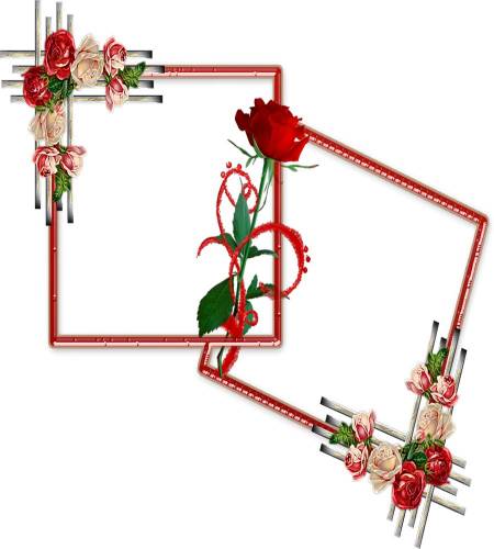 Рамка для двух фото с красными и белыми розами