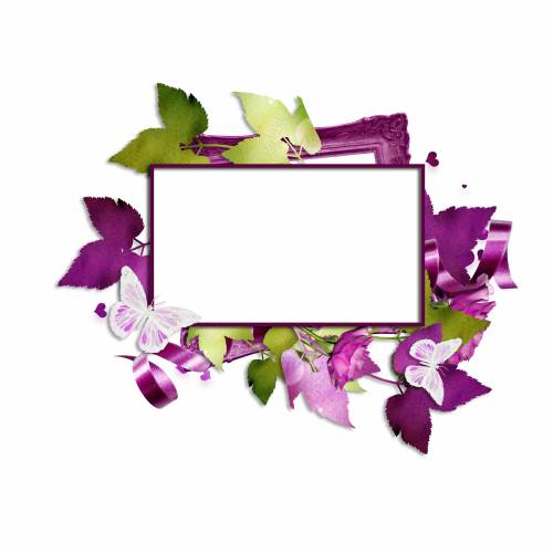 Фиолетовая рамка с цветами и бабочками