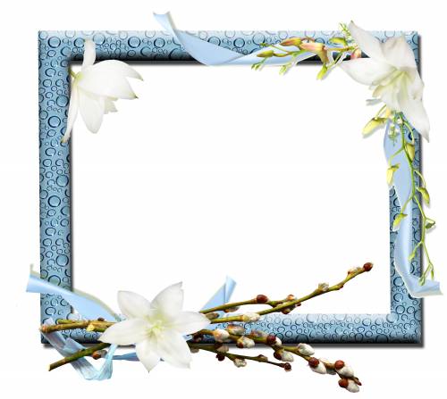 Голубая рамка в росе с вербой и цветами