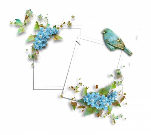 Рамки с голубыми цветами и птицей