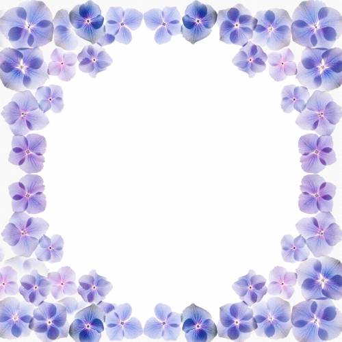 Рамка для фото из синих цветов